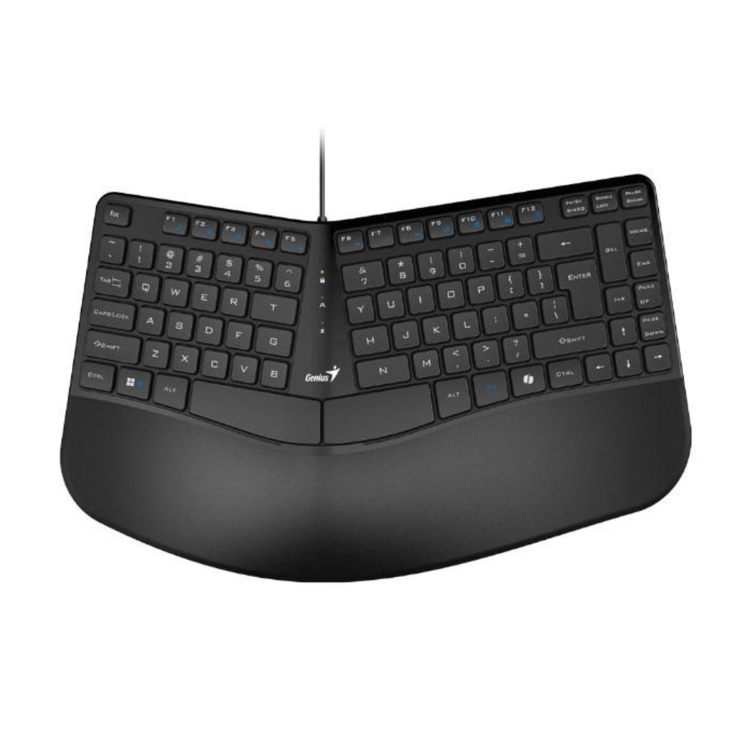 TECLADO GENIUS RS2 ERGO KB-700 MEMBRANA ALAMBRICO ESPAÑOL 31310053401 NEGRO