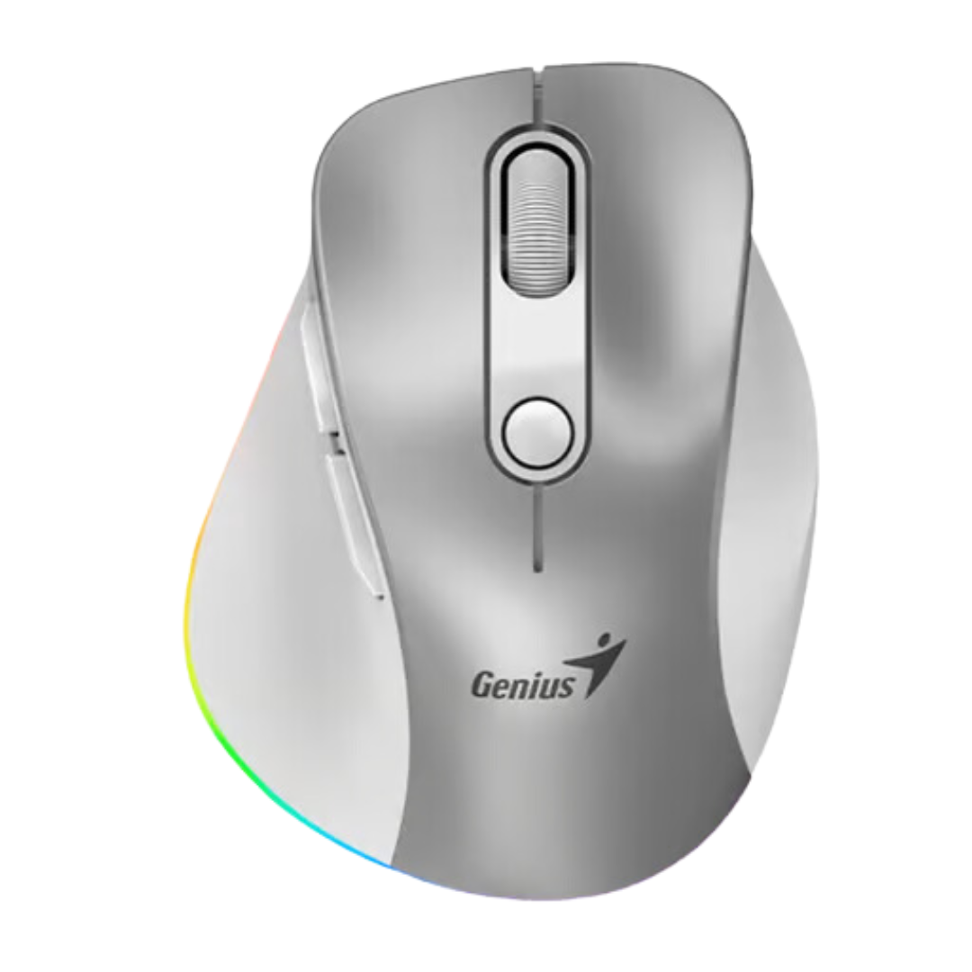 MOUSE GENIUS RS2 ERGO 9000S PRO INALAMBRICO CON RECEPTOR 31030039402 PLATEADO