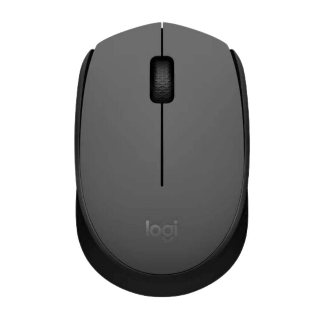 Mouse Logitech M170 Inalambrico Con Receptor